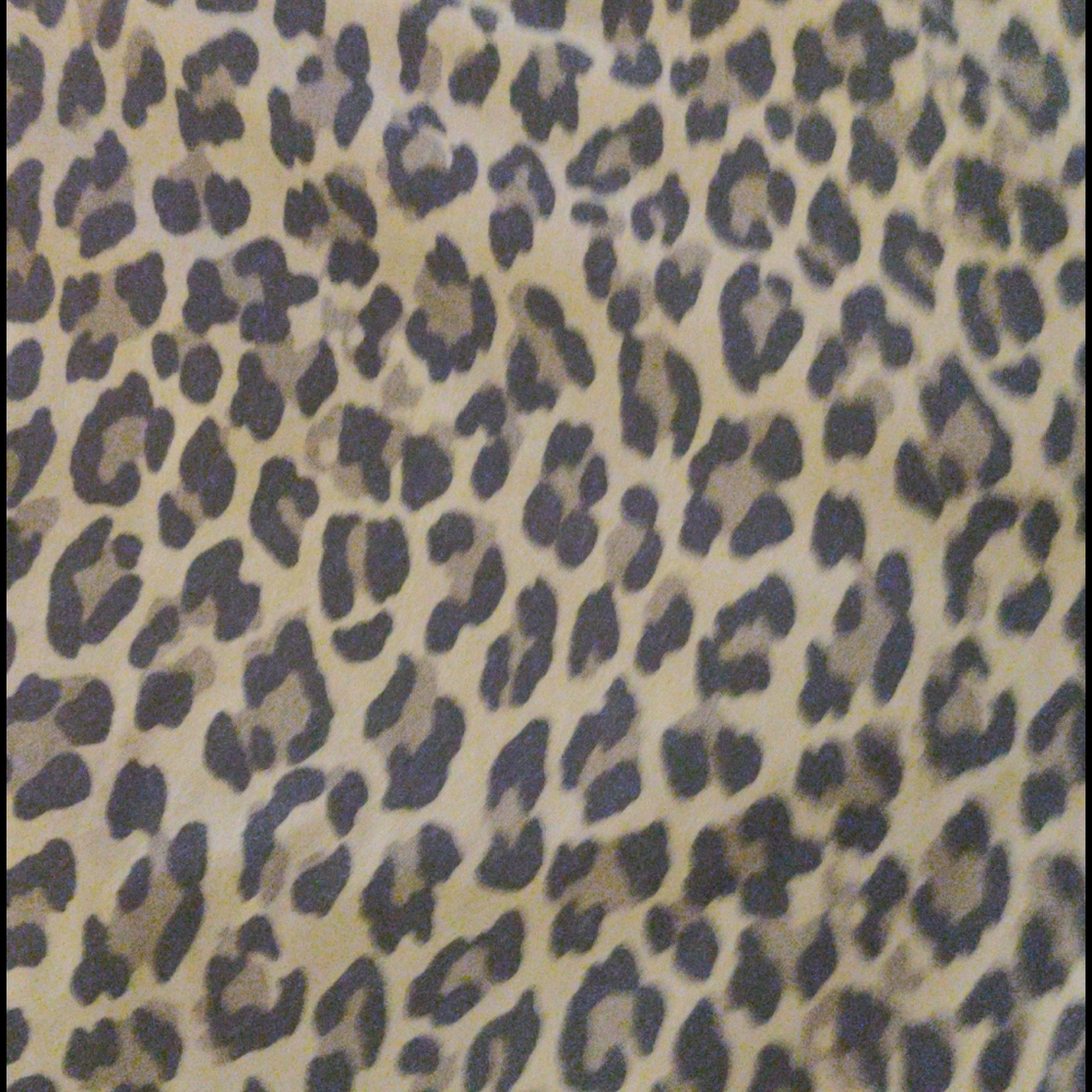 Leopard skinny jeans from Levi's